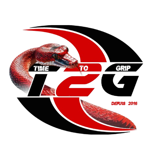 Bienvenue sur T2G Esport